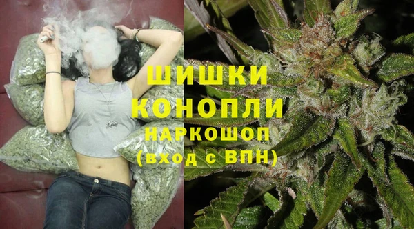 стаф Костерёво
