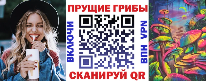 Купить закладки  Шарья  Псилоцибиновые грибы ЛСД 